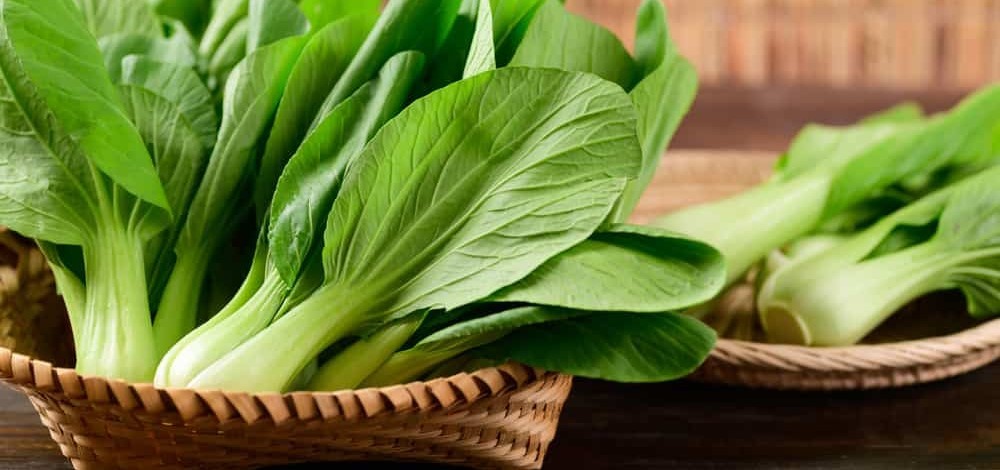 Vegetable